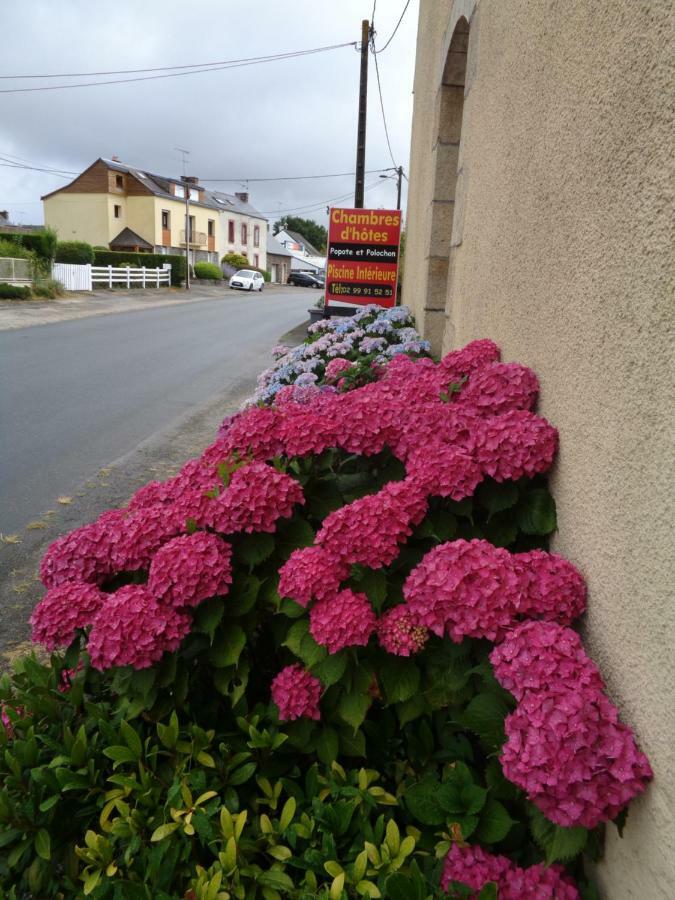 Popote Et Polochon Bed & Breakfast Saint-Martin-sur-Oust Exterior foto