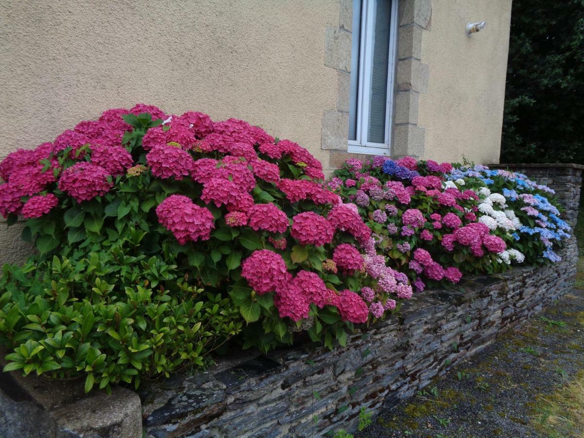 Popote Et Polochon Bed & Breakfast Saint-Martin-sur-Oust Exterior foto
